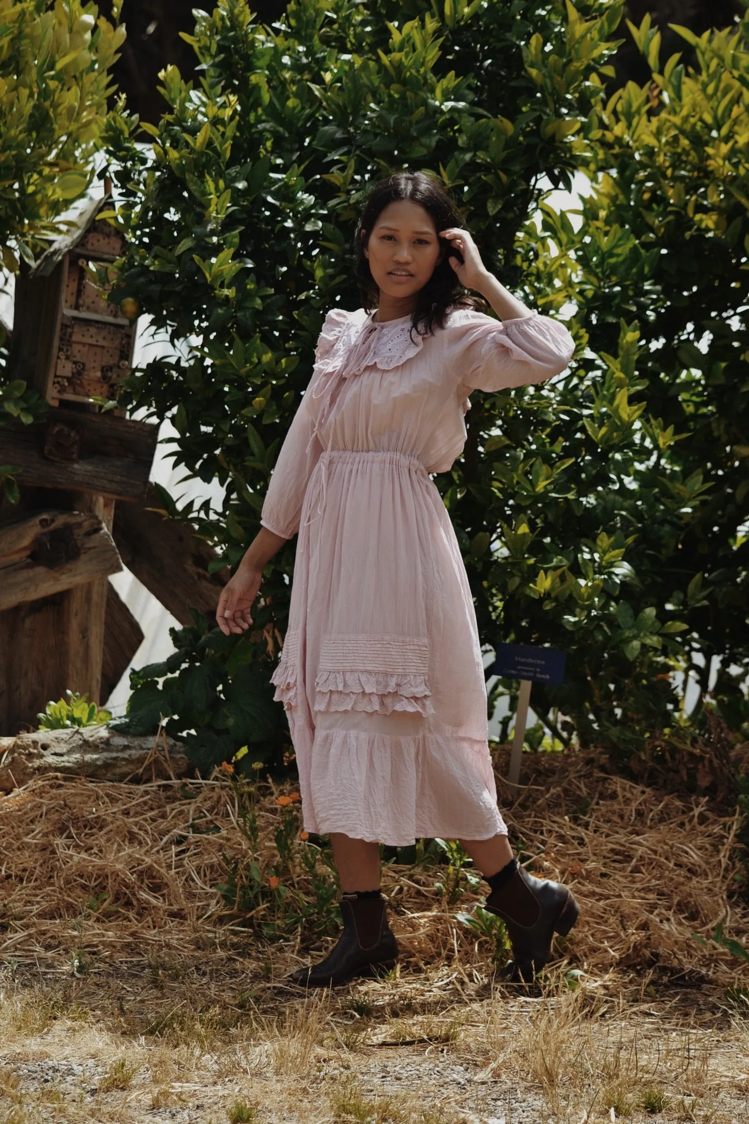 ABERDEEN PASTEL PINK COTTON LACE DRESS