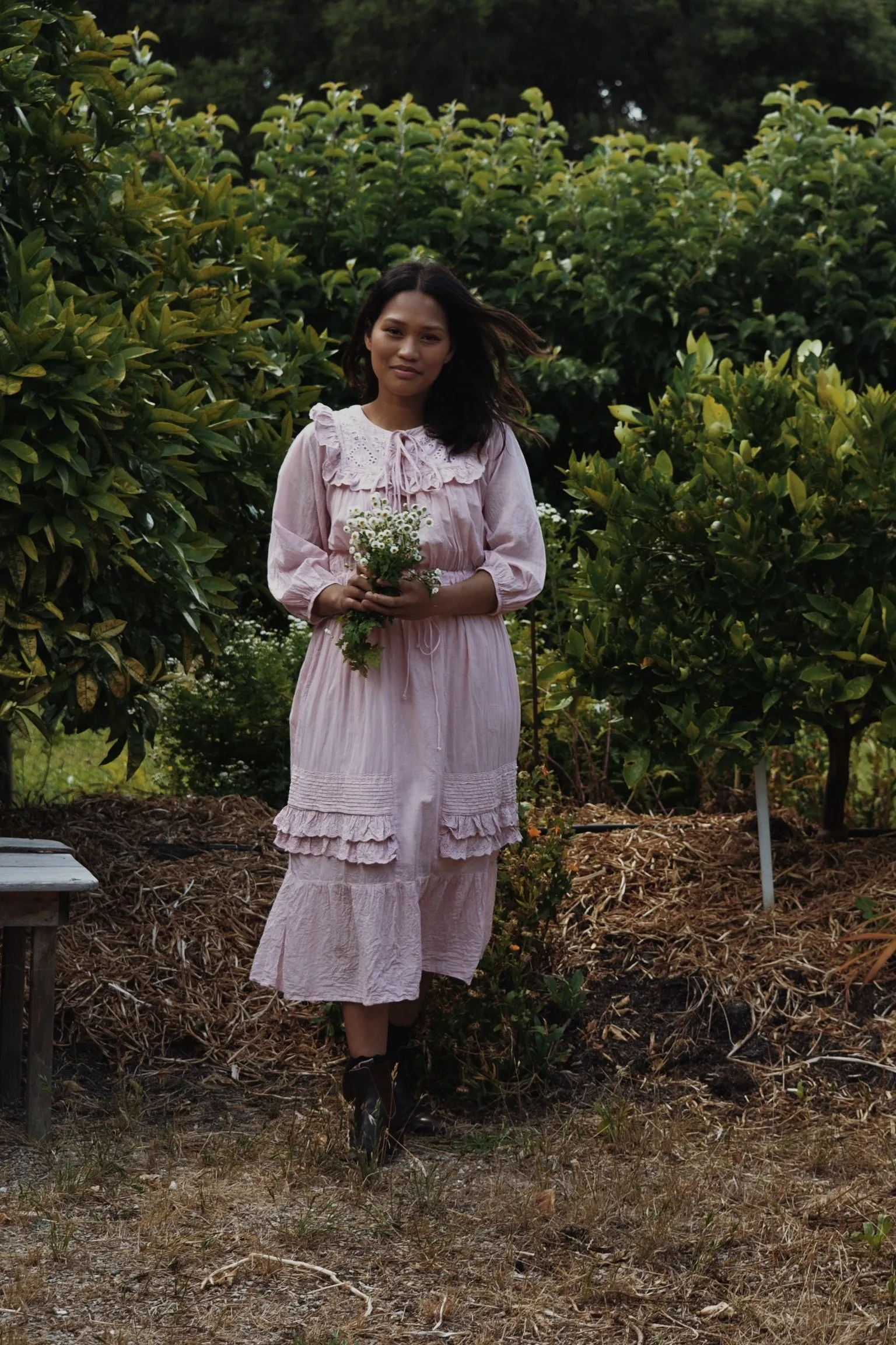 ABERDEEN PASTEL PINK COTTON LACE DRESS