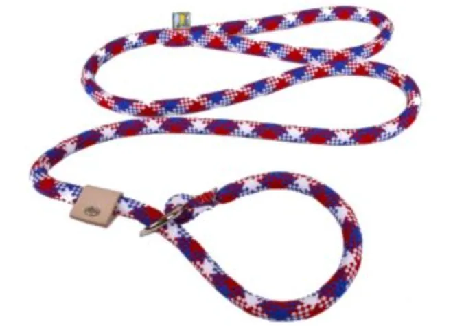 Braided Rope Slip Leash