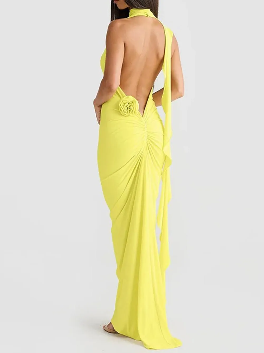 Chloe Backless Bodycon Maxi Dress