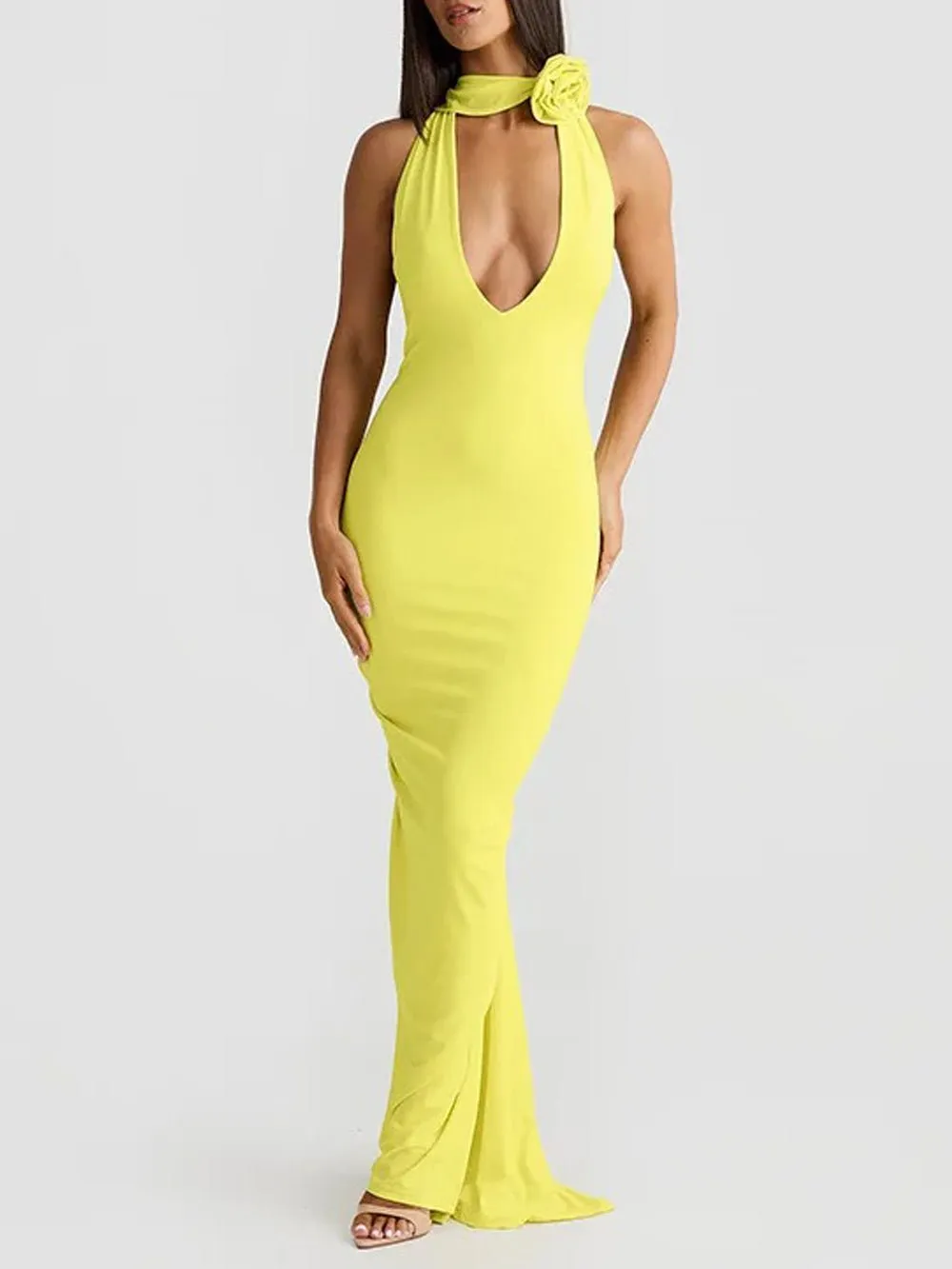 Chloe Backless Bodycon Maxi Dress