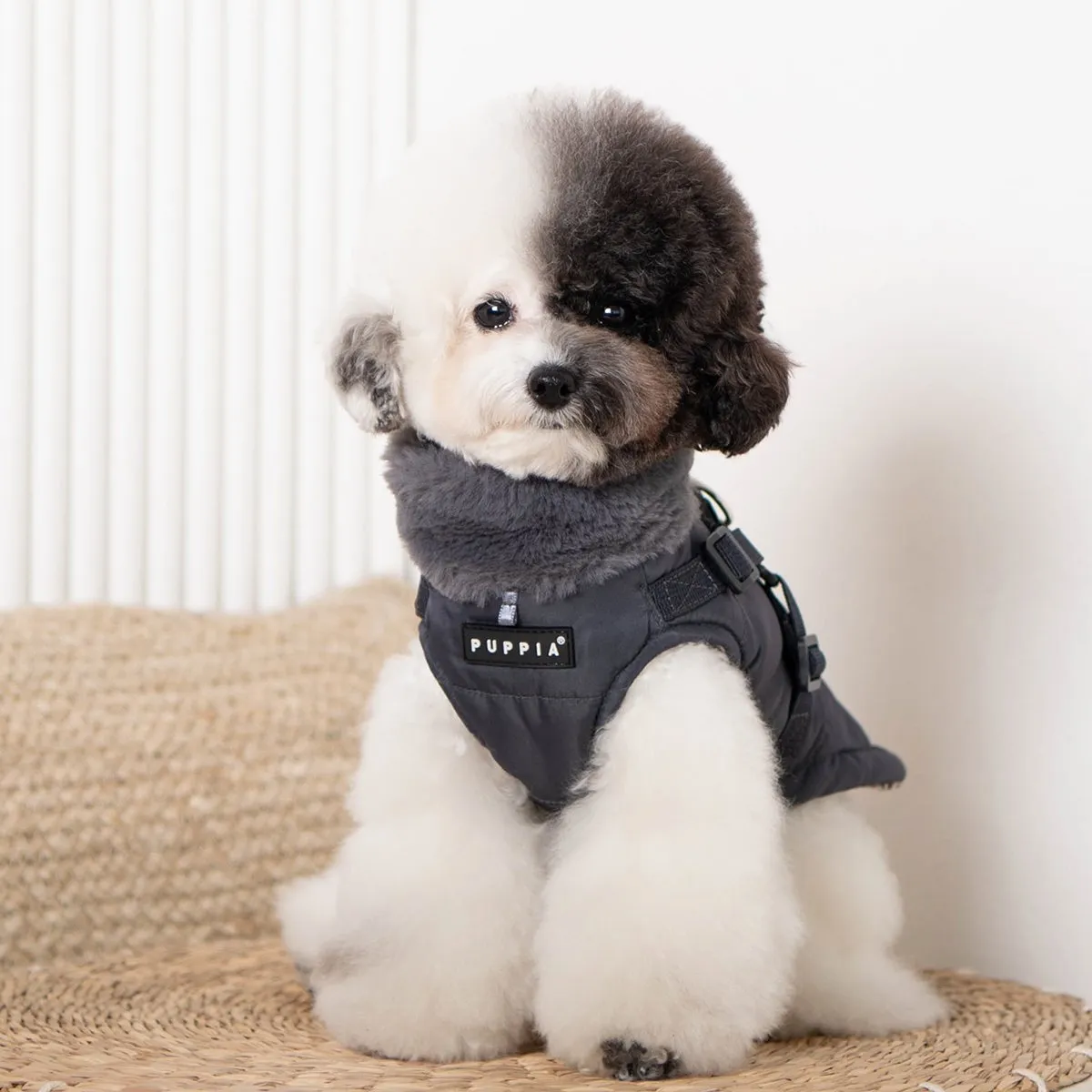 Donavan Dog Coat