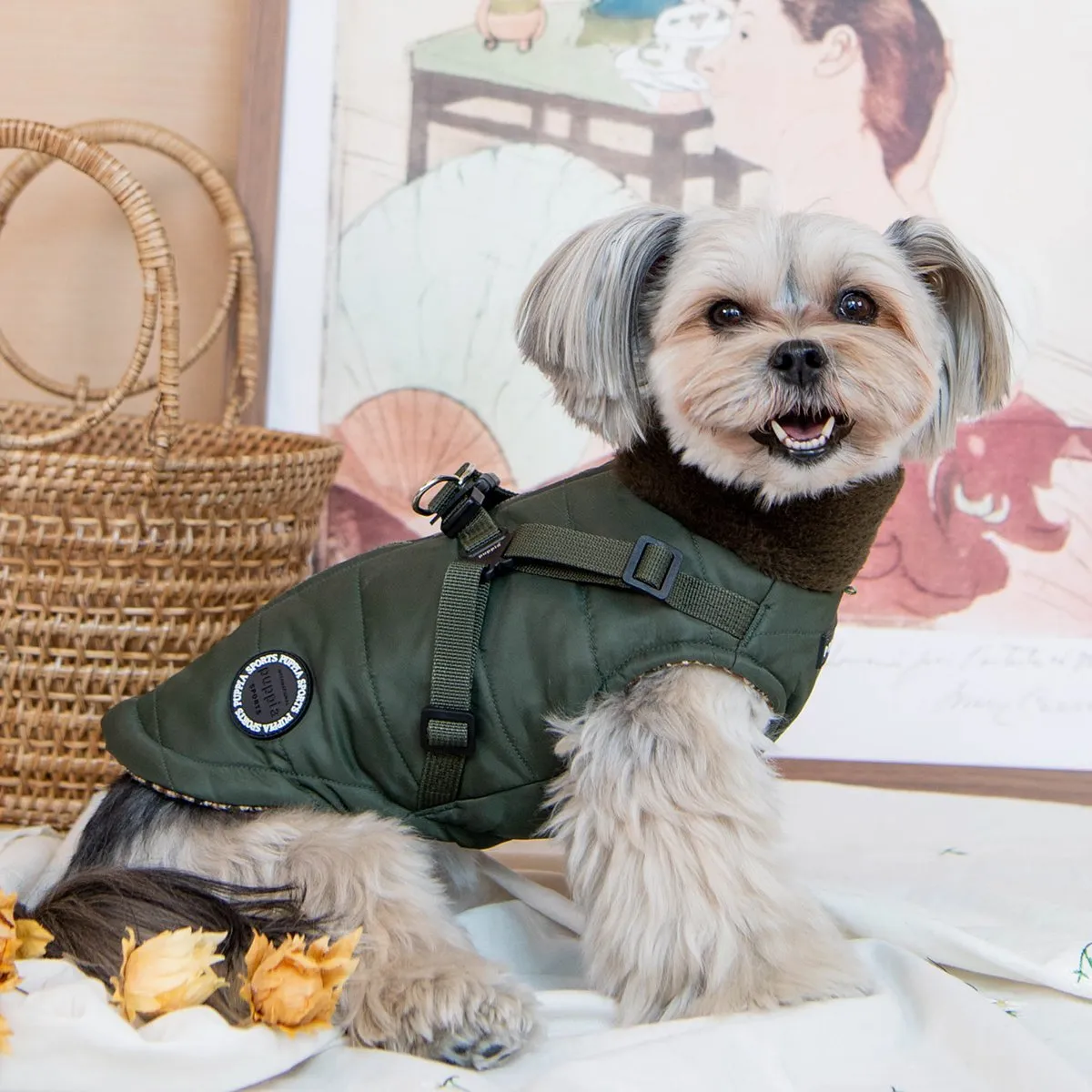 Donavan Dog Coat