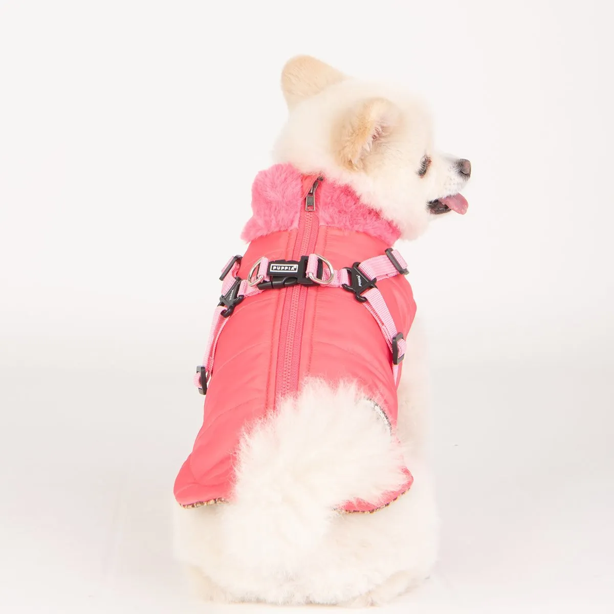 Donavan Dog Coat