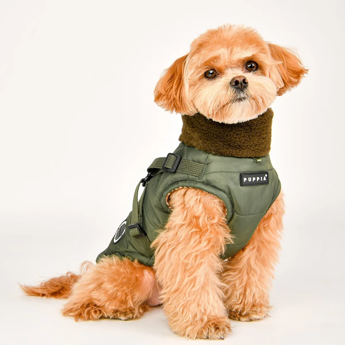 Donavan Dog Coat