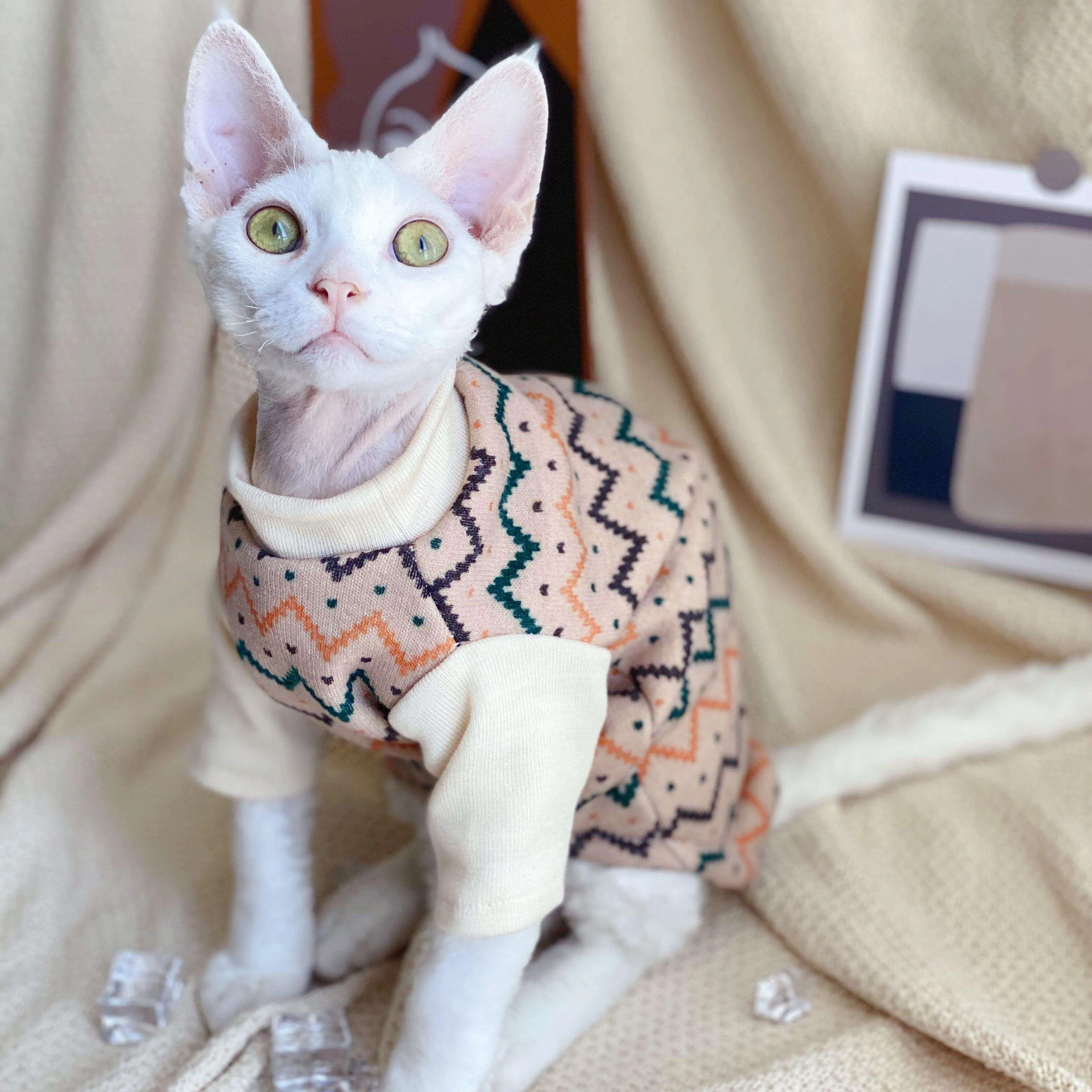 Ethnic Hairless Cat Sweater