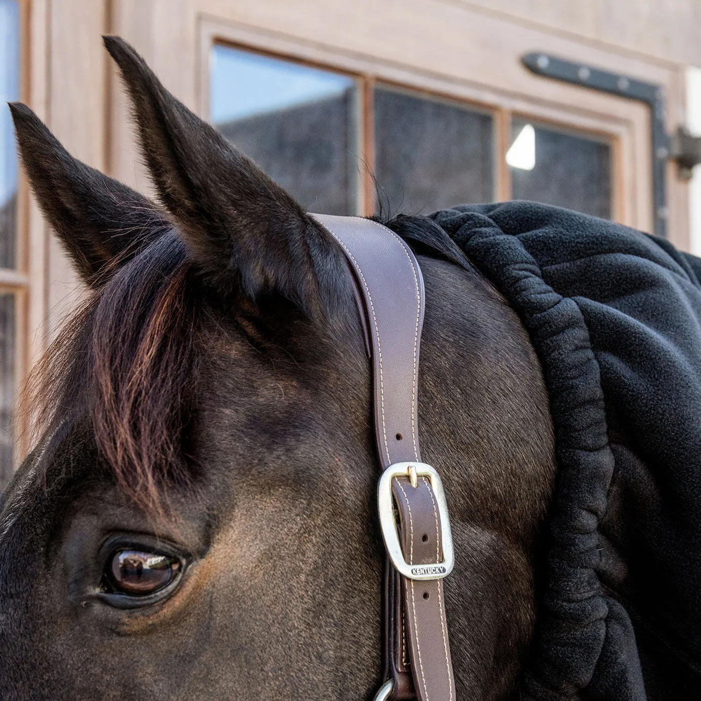 Kentucky Horsewear Heavyweight Fleece Scarf - Black