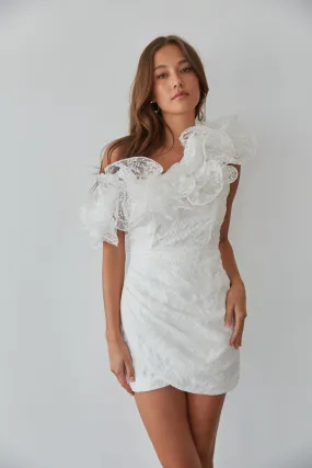 Krista Asymmetrical Embroidered Organza Ruffle Mini Dress