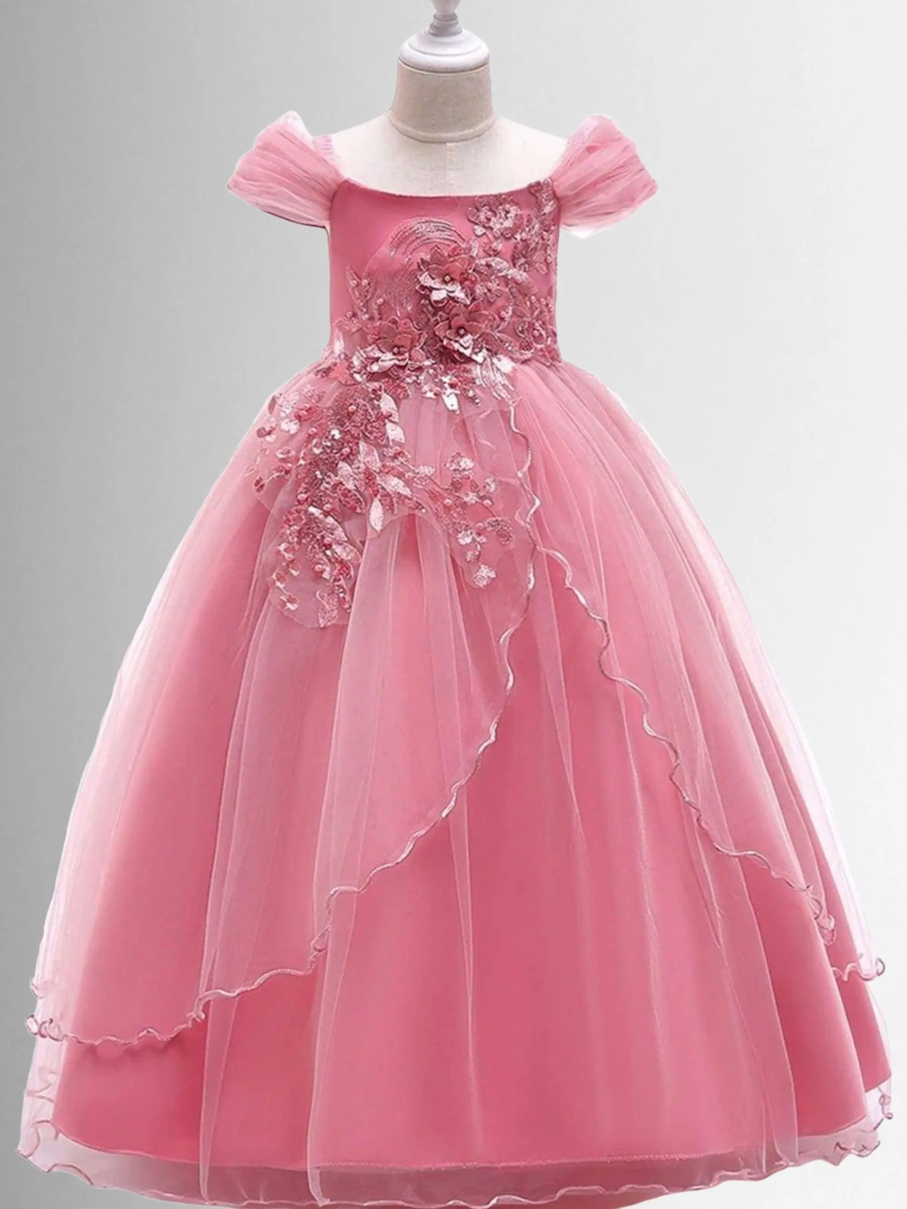 Regal Beauty Embellished Princess Special Occasion Dress