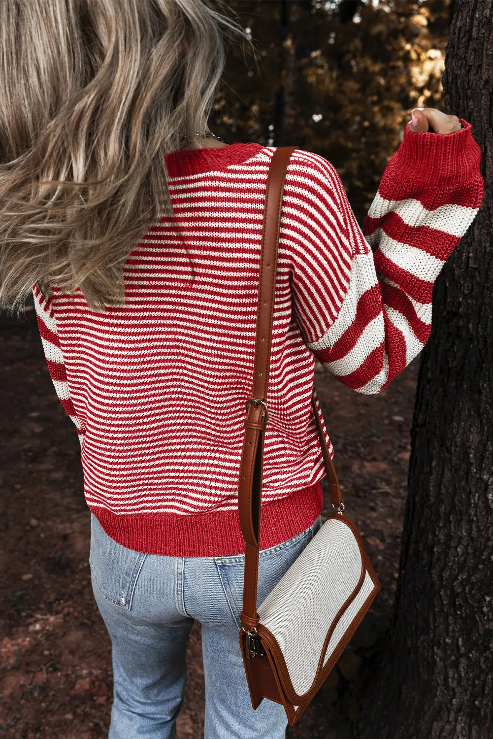 Stripe Geometric Cable Knit Sweater